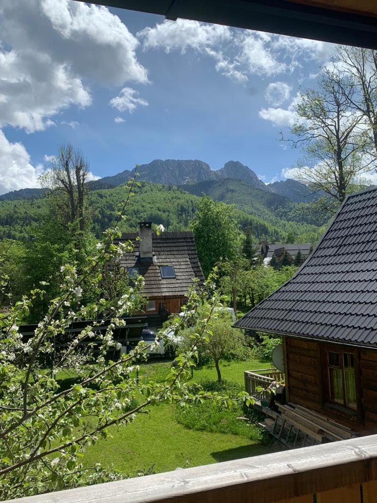 Domek Sekret Zakopane Exterior foto
