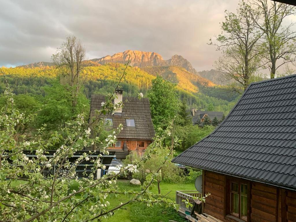 Domek Sekret Zakopane Exterior foto
