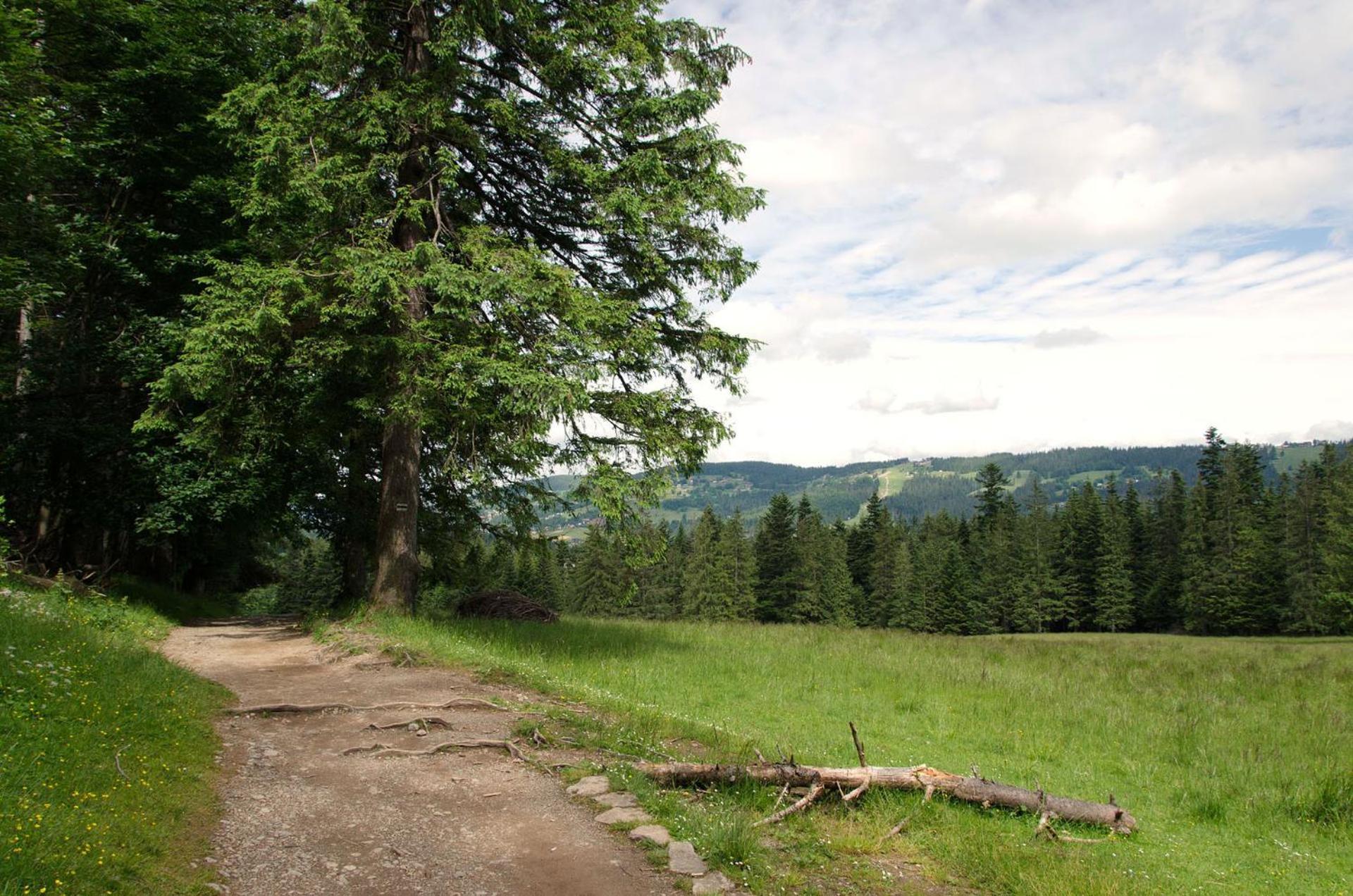 Domek Sekret Zakopane Exterior foto